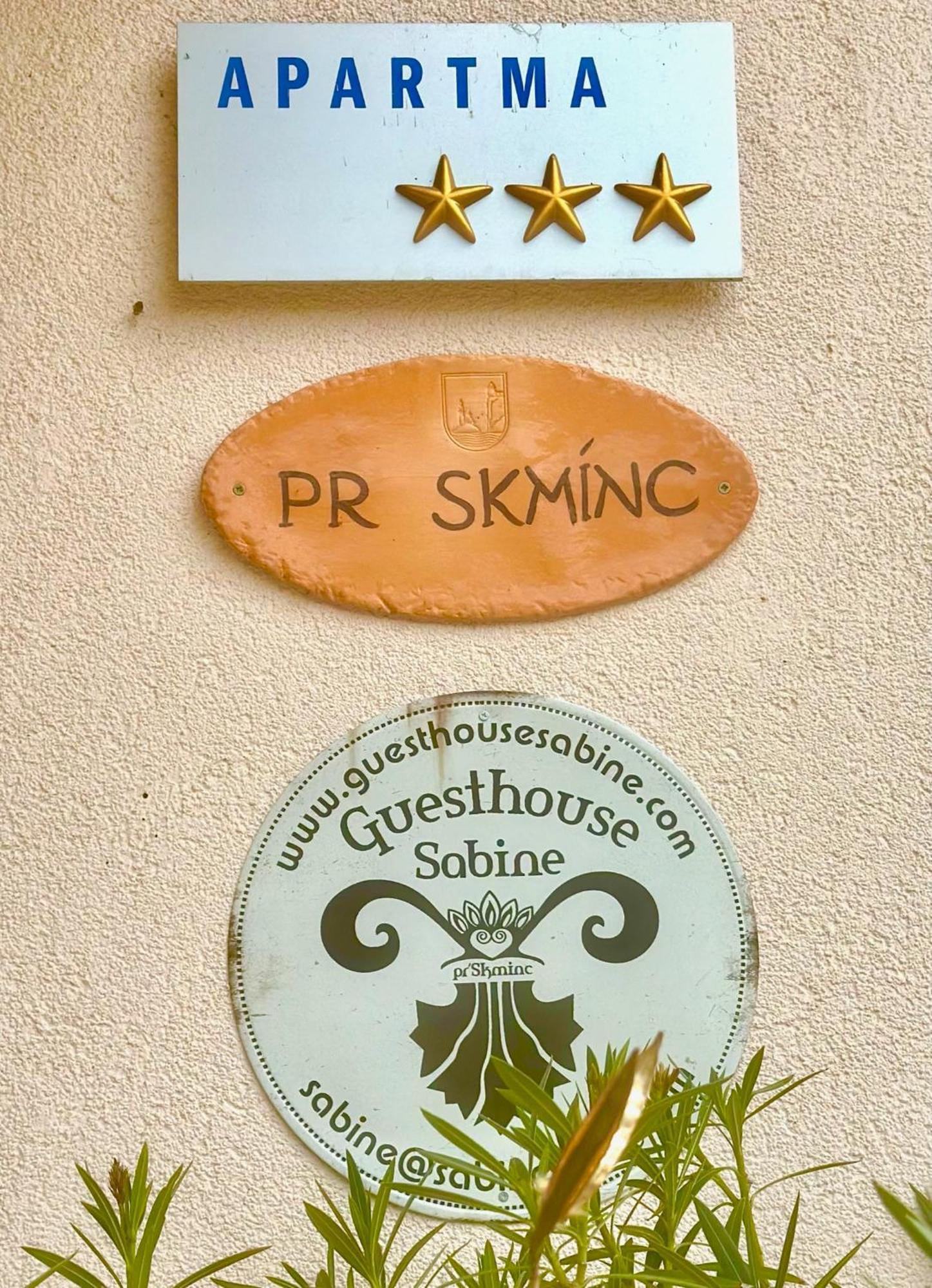 Guesthouse Sabine - Pr' Skminc Bohinjska Bela Kültér fotó